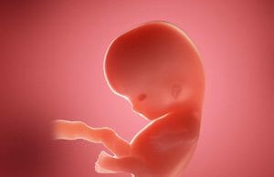 Kader’in Gebelik Günlüğü 8. Hafta