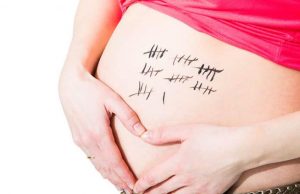 Hamilelik Hesaplama Aracı