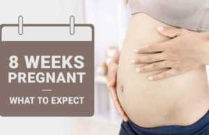 8 Haftalık Gebelik