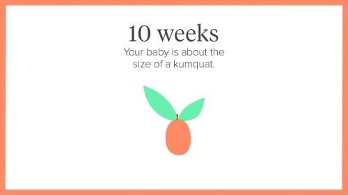 10 haftalık gebelik, 10 Haftalık Gebelik, Tatlı Bir Telaş