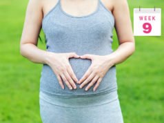 9 Haftalık Gebelik 9 Haftalık Gebelik