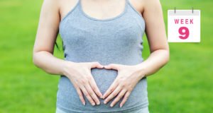 9 Haftalık Gebelik Tatlı Bir Telaş, Tatlı Bir Telaş, Tatlı Bir Telaş